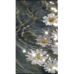 aquadzy