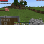 Its pig time