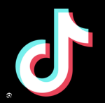 Should I have tik tok