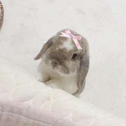 ୨୧