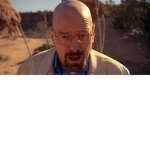 Breaking Bad family