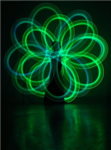 the green lotus