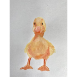 The Chunkiest Chunky Ducks