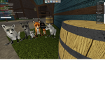 join my game