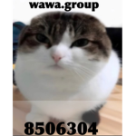 wawa.group