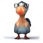 Cool Dodos