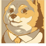 DogeTopia City Council