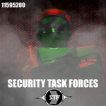 SECURITY TASK FORCESS