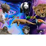 Elections For President in the animals