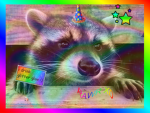RAINBOWRACOONZ