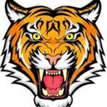 Tiger City