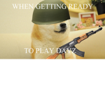 Doge Air Force + Doge Navy
