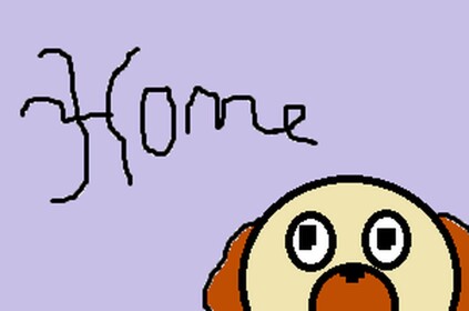 HOME 🐶