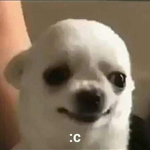 xX1