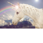 UNICORNS GO!!!
