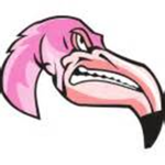 Flamingo Force