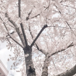 𐔌 ˖ ˚ ⌗ ✩ ˚ ꒷˳ ୨ৎ