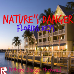 Nature's Danger ~ Florida Keys ~