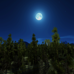 Night Forest (Showcase)