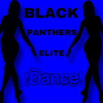 BPE - Black Panthers Elite