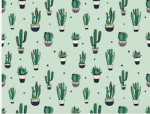 Team Cacti FOREVER!!!!
