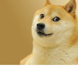 Doges Training Centre.
