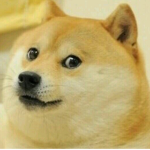 Doge For The Win 2016