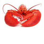 Lobster forever