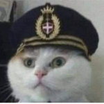 Michis roblox