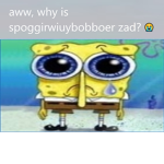 Spongebob Epic Fan Club!