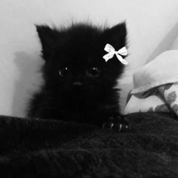 ✿