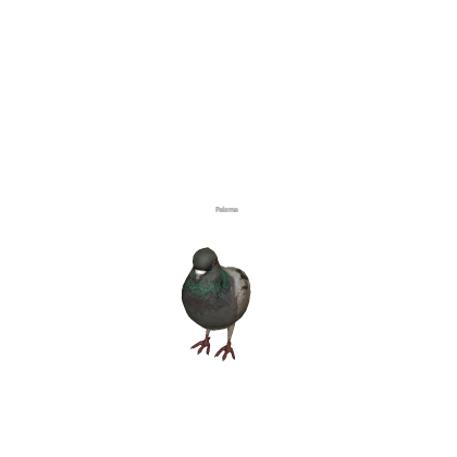 Paloma NPC
