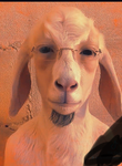 JakSi