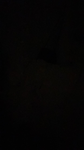 Text Hangout