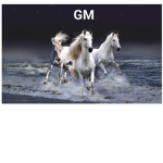 Golden Meteorite Riding Academy
