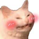 super epic awesome cool roblox group