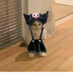 DUCKPITTWIN'S GROUP