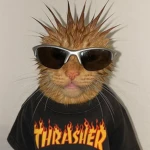 Cool Kitty Creations Group Thumbnail