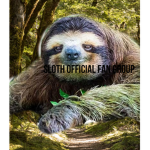Sloth official fan club