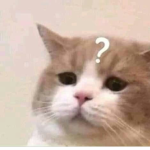 "Roblox School Summer Break! yay"