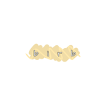 -|BirB|-