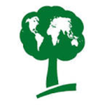 The Tree Foundation Group