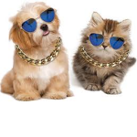 Cool cats and dogs.