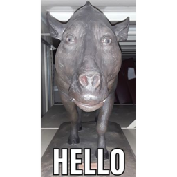hello