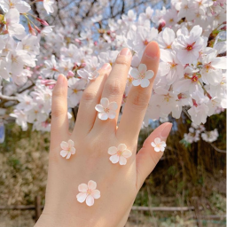 ✿