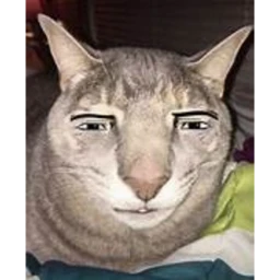 cat game icon
