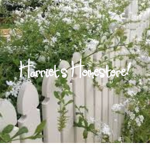 Harriet's Homestore!