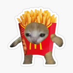 The Cat Fries