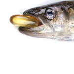 oil fish
