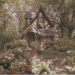 ~ spring flowers ~
